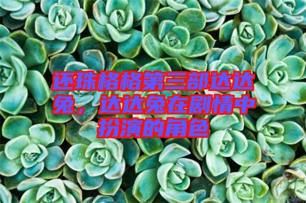 還珠格格第三部達(dá)達(dá)兔，達(dá)達(dá)兔在劇情中扮演的角色