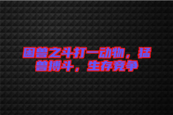 困獸之斗打一動物，猛獸搏斗，生存競爭