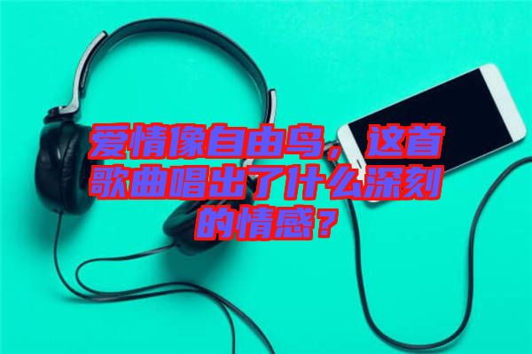 愛情像自由鳥，這首歌曲唱出了什么深刻的情感？