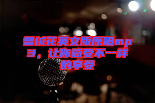 雪絨花英文版原唱mp3，讓你感受不一樣的享受