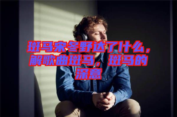 斑馬宋冬野達了什么，解歌曲斑馬，斑馬的深意