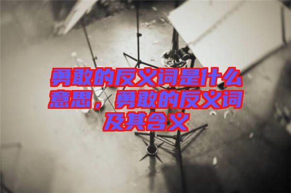 勇敢的反義詞是什么意思，勇敢的反義詞及其含義