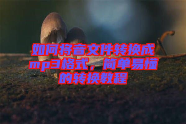 如何將音文件轉換成mp3格式，簡單易懂的轉換教程