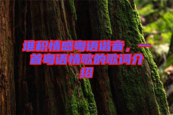 堆積情感粵語諧音，一首粵語情歌的歌詞介紹