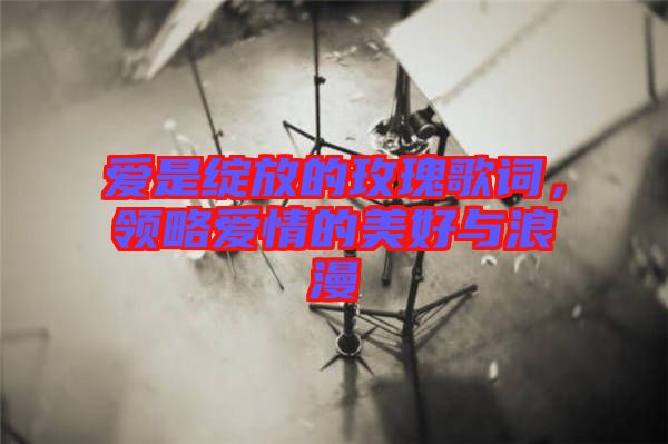 愛是綻放的玫瑰歌詞，領(lǐng)略愛情的美好與浪漫