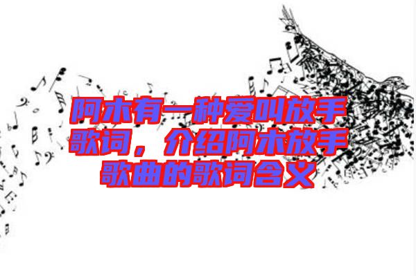 阿木有一種愛(ài)叫放手歌詞，介紹阿木放手歌曲的歌詞含義