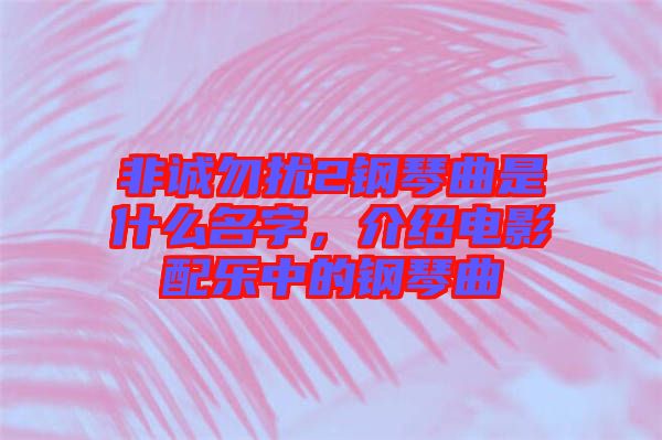 非誠(chéng)勿擾2鋼琴曲是什么名字，介紹電影配樂(lè)中的鋼琴曲