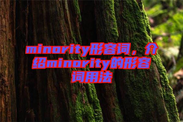 minority形容詞，介紹minority的形容詞用法