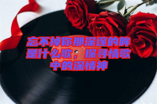 忘不掉你那深邃的眸是什么歌，探尋情歌中的深情神