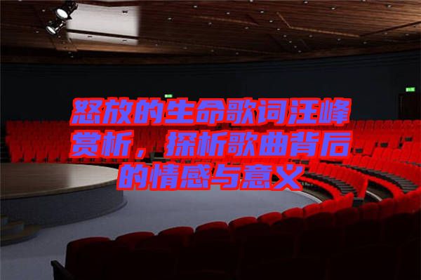 怒放的生命歌詞汪峰賞析，探析歌曲背后的情感與意義