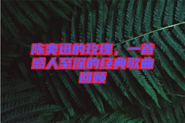 陳奕迅的玫瑰，一首感人至深的經(jīng)典歌曲回顧