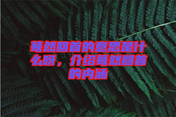 驀然回首的意思是什么呀，介紹驀然回首的內(nèi)涵