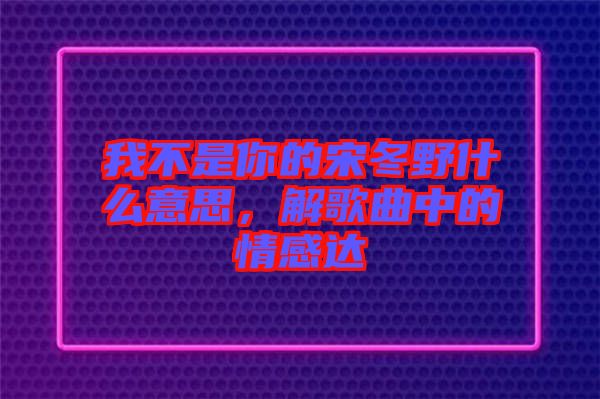 我不是你的宋冬野什么意思，解歌曲中的情感達