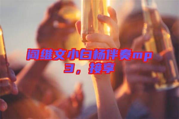 閻維文小白楊伴奏mp3，接享