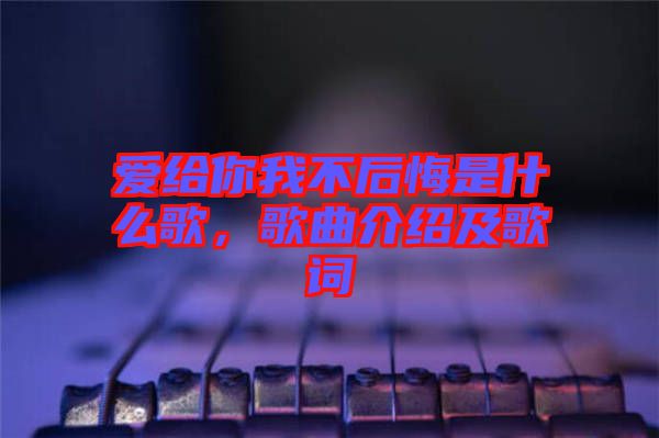 愛給你我不后悔是什么歌，歌曲介紹及歌詞