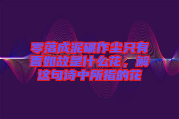 零落成泥碾作塵只有香如故是什么花，解這句詩中所指的花