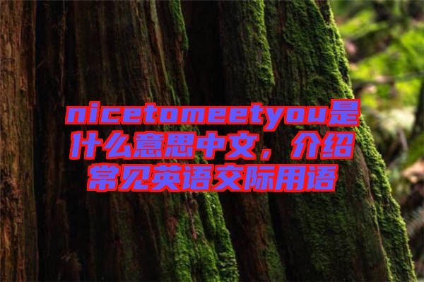 nicetomeetyou是什么意思中文，介紹常見(jiàn)英語(yǔ)交際用語(yǔ)