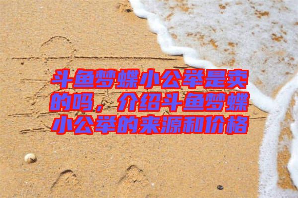 斗魚夢蝶小公舉是賣的嗎，介紹斗魚夢蝶小公舉的來源和價格