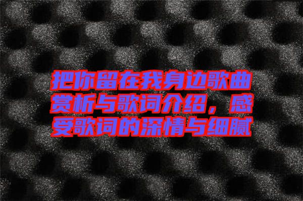 把你留在我身邊歌曲賞析與歌詞介紹，感受歌詞的深情與細膩