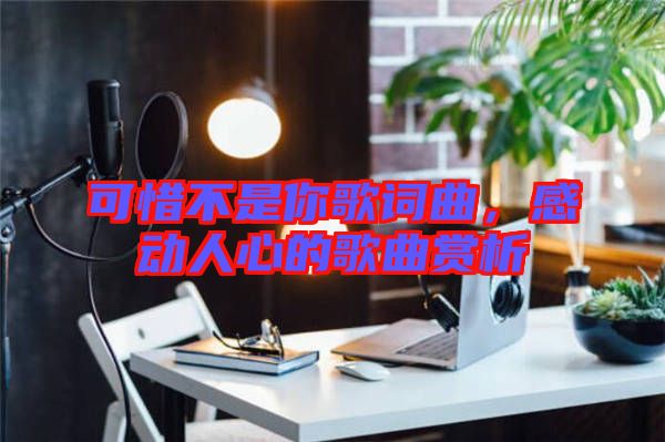 可惜不是你歌詞曲，感動人心的歌曲賞析