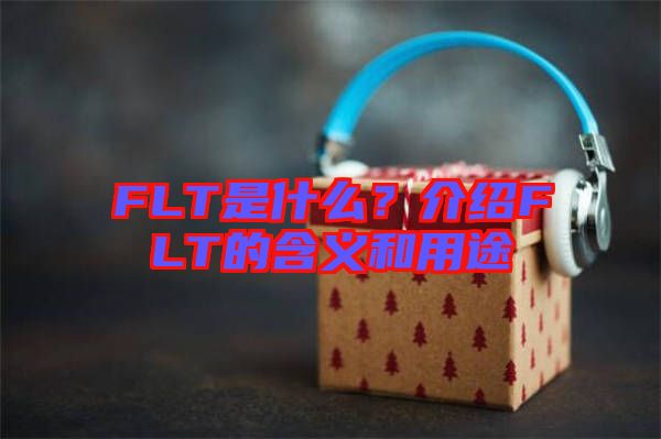 FLT是什么？介紹FLT的含義和用途