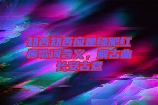 知否知否應(yīng)是綠肥紅瘦歌詞含義，解古曲長安古意