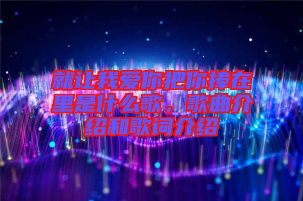 就讓我愛你把你捧在里是什么歌，歌曲介紹和歌詞介紹