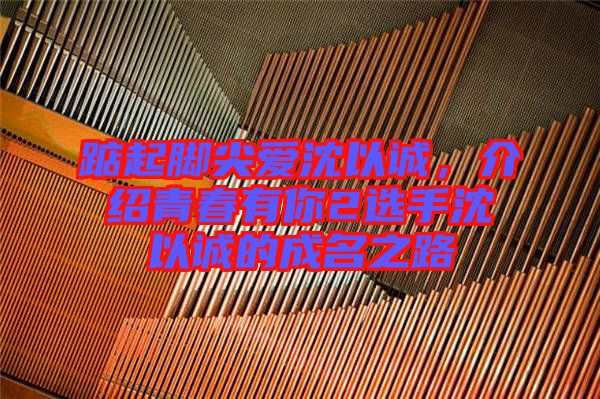 踮起腳尖愛沈以誠，介紹青春有你2選手沈以誠的成名之路