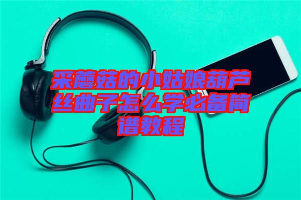 采蘑菇的小姑娘葫蘆絲曲子怎么學必備簡譜教程