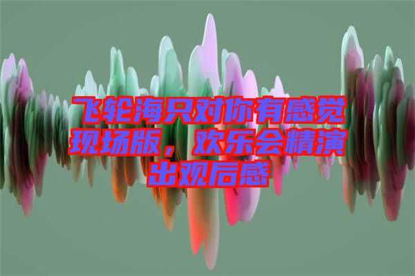 飛輪海只對(duì)你有感覺(jué)現(xiàn)場(chǎng)版，歡樂(lè)會(huì)精演出觀后感