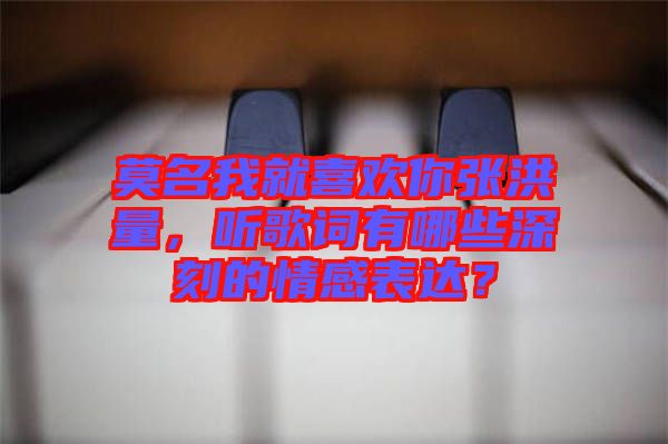 莫名我就喜歡你張洪量，聽(tīng)歌詞有哪些深刻的情感表達(dá)？