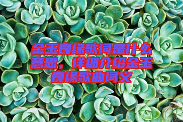 金玉良緣歌詞是什么意思，詳細(xì)介紹金玉良緣歌曲詞義