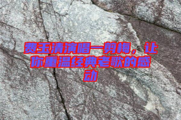 費(fèi)玉清演唱一剪梅，讓你重溫經(jīng)典老歌的感動