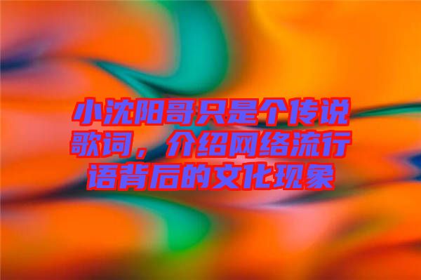 小沈陽哥只是個傳說歌詞，介紹網(wǎng)絡流行語背后的文化現(xiàn)象