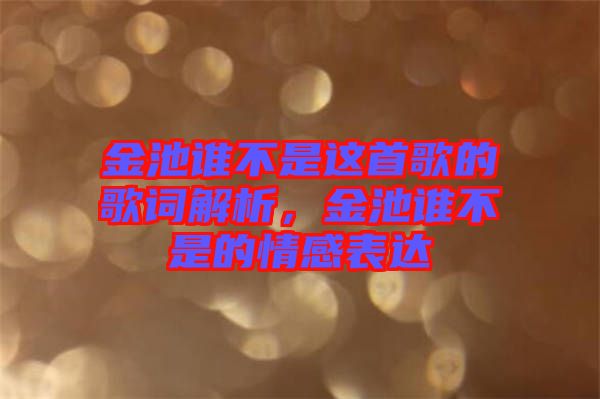 金池誰不是這首歌的歌詞解析，金池誰不是的情感表達