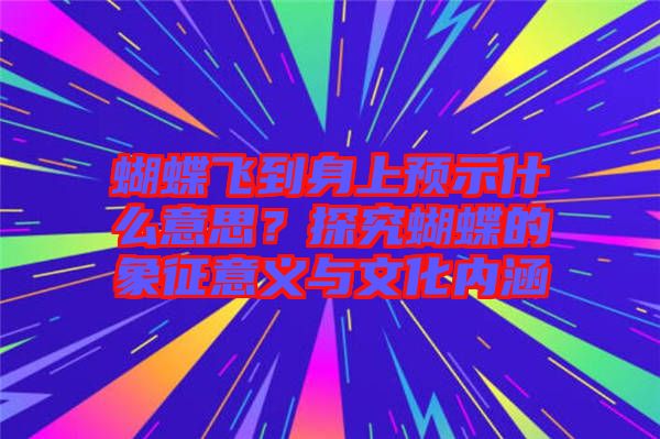 蝴蝶飛到身上預(yù)示什么意思？探究蝴蝶的象征意義與文化內(nèi)涵