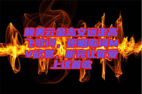 賴美云金志文遠走高飛歌詞，原唱歌詞MV欣賞，聽完讓你愛上這首歌