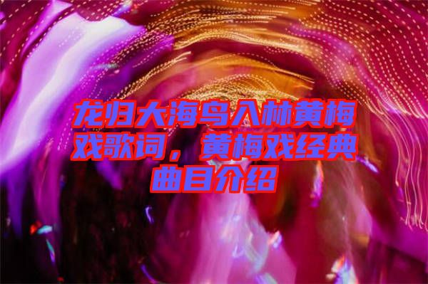 龍歸大海鳥入林黃梅戲歌詞，黃梅戲經(jīng)典曲目介紹