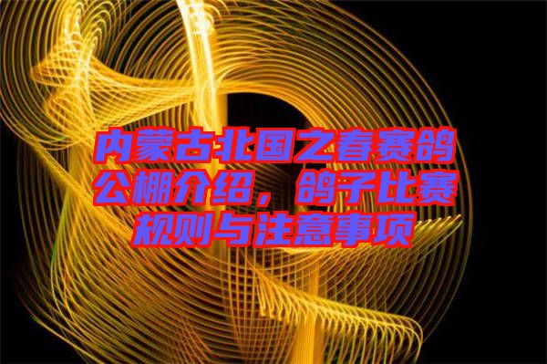 內蒙古北國之春賽鴿公棚介紹，鴿子比賽規(guī)則與注意事項