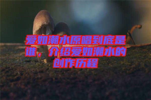 愛如潮水原唱到底是誰，介紹愛如潮水的創(chuàng)作歷程