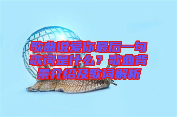 歌曲說愛你最后一句歌詞是什么？歌曲背景介紹及歌詞解析