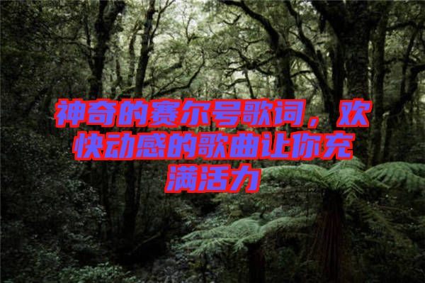 神奇的賽爾號歌詞，歡快動感的歌曲讓你充滿活力