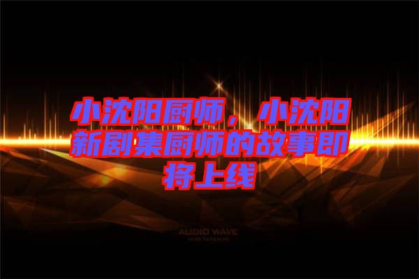 小沈陽廚師，小沈陽新劇集廚師的故事即將上線