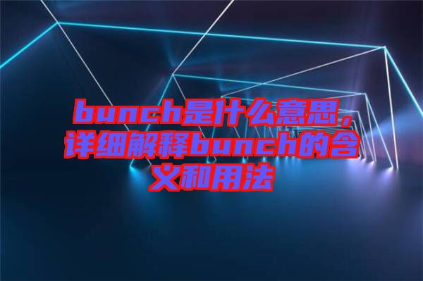 bunch是什么意思，詳細(xì)解釋bunch的含義和用法