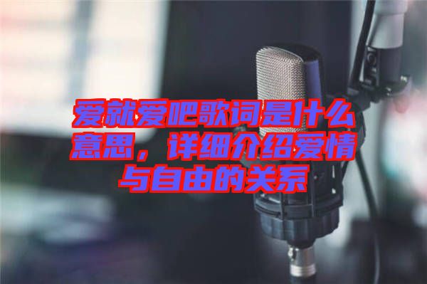 愛就愛吧歌詞是什么意思，詳細(xì)介紹愛情與自由的關(guān)系