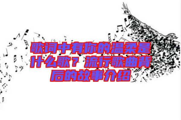 歌詞中有你的溫柔是什么歌？流行歌曲背后的故事介紹