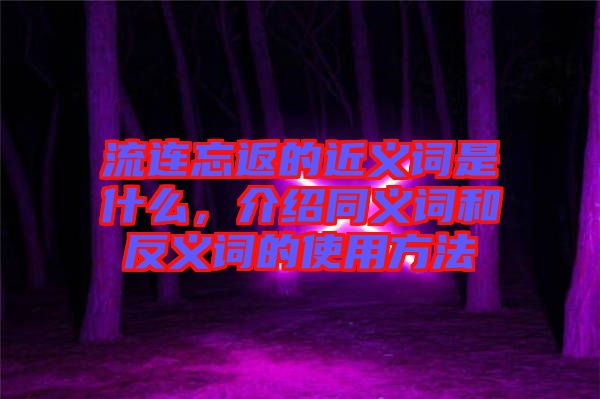 流連忘返的近義詞是什么，介紹同義詞和反義詞的使用方法