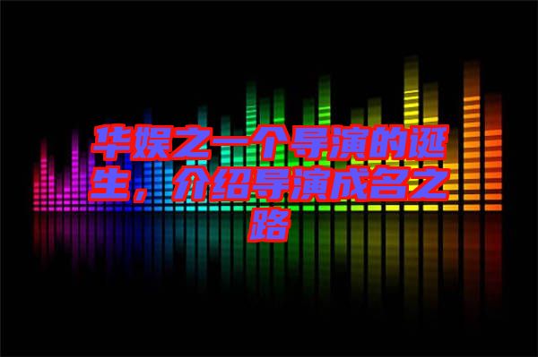 華娛之一個導演的誕生，介紹導演成名之路