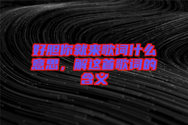 好膽你就來歌詞什么意思，解這首歌詞的含義