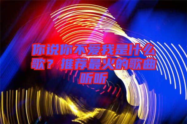 你說你不愛我是什么歌？推薦最火的歌曲聽聽